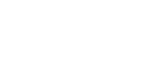 Just Junk Removals logo